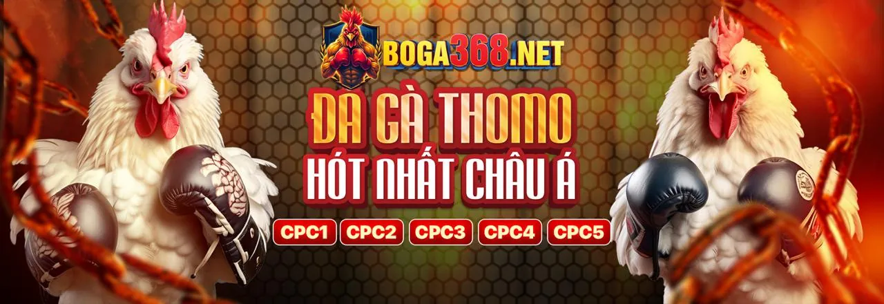 Đá gà trực tuyến kịch tính tại hy88 win